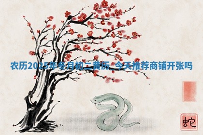 农历2025年冬月初二黄历:今天推荐商铺开张吗 农历2025年冬月初二黄历:今天推荐商铺开张吗
