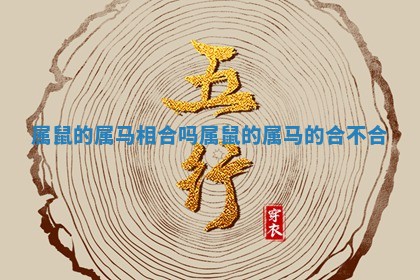 属鼠的属马相合吗 属鼠的属马 ? 的合不 ➰ 合