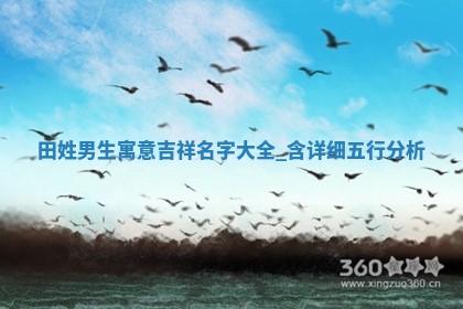 田姓寓意吉祥的男生名字