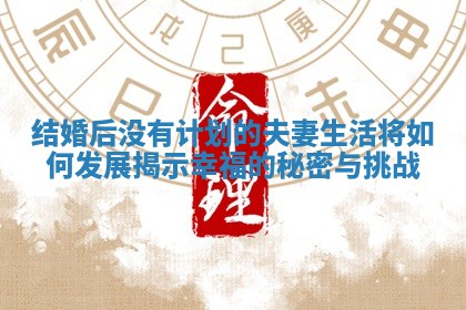 结婚后没有计划的夫妻生活将如何发展揭示幸福的秘密与挑战