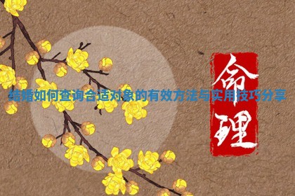 结婚如何查询合适对象的有效方法与实用技巧分享