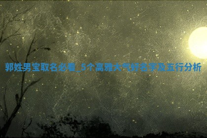 郭姓高雅大气的男宝名字